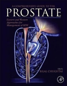 A Comprehensive Guide to the Prostate