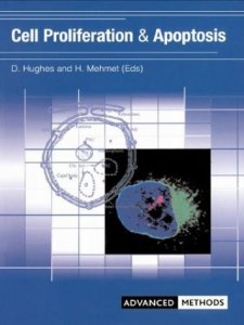Cell Proliferation & Apoptosis