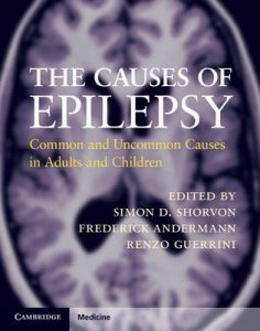 The Causes of Epilepsy
