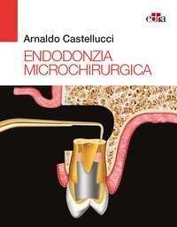 Endodonzia microchirurgica