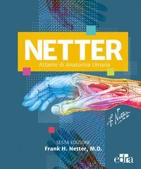 Atlante di anatomia netter pdf download free apps