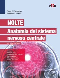 Nolte. Anatomia del sistema nervoso centrale