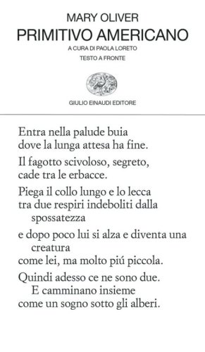 Libri universitari Letteratura angloamericana (Prof.ssa Loreto)