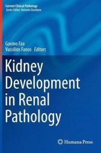 Kidney Development in Renal Pathology