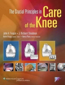 The Crucial Principles in Care of the Knee