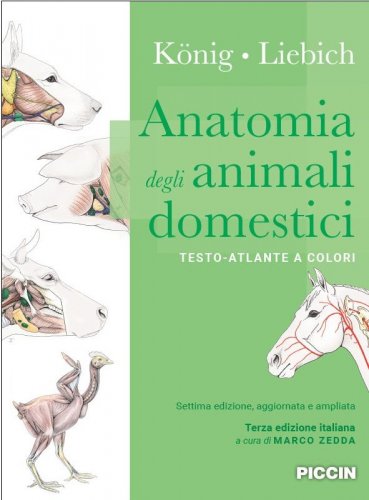Anatomia degli animali domestici. Testo-atlante a colori