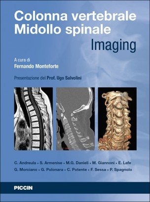 Colonna Vertebrale Midollo Spinale Imaging