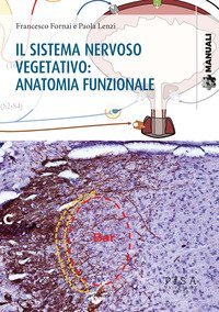 Il sistema nervoso vegetativo: anatomia funzionale