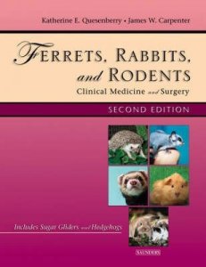 Ferrets, Rabbits and Rodents