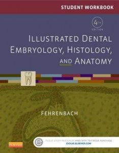 Student Workbook for Illustrated Dental Embryology, Histology and Anatomy