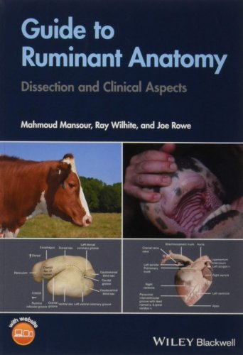 Guide to Ruminant Anatomy