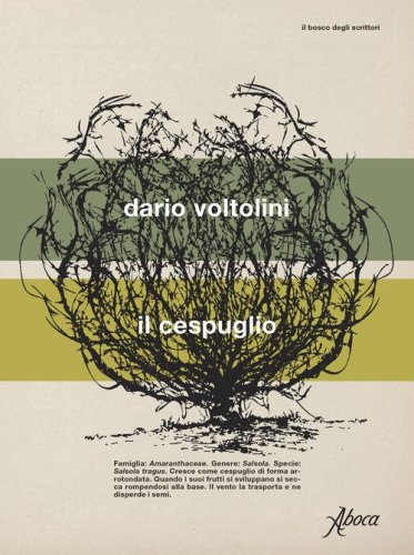 Il cespuglio