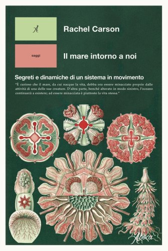 Il mare intorno a noi. Segreti e dinamiche di un sistema in movimento