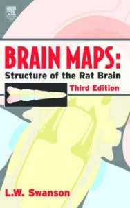 Brain Maps