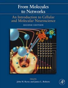 From Molecules to Networks