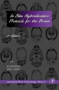 In Situ Hybridization Protocols for the Brain