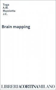 Brain mapping