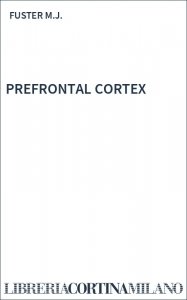 PREFRONTAL CORTEX