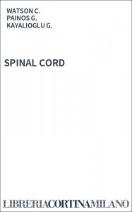 SPINAL CORD