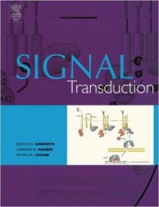 Signal transduction