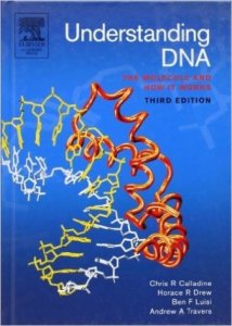 Understanding DNA