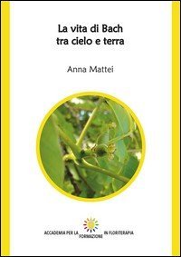 La vita di Bach tra cielo e terra