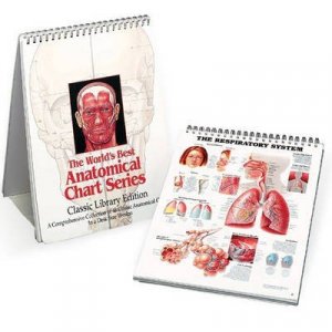 Anatomical Chart Book