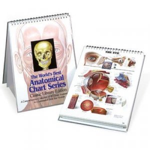 Anatomical Chart Book