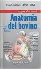 Atlante illustrato di anatomia del bovino