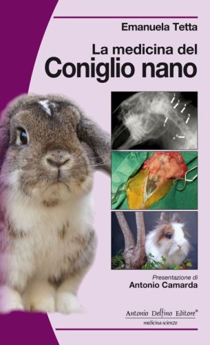La medicina del coniglio nano