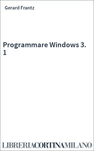 Programmare Windows 3. 1