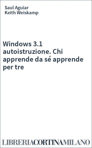 Windows 3.1 autoistruzione. Chi apprende da sé apprende per tre