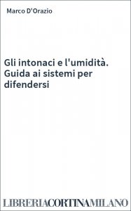 Gli intonaci e l'umidità. Guida ai sistemi per difendersi
