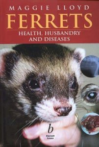 Ferrets