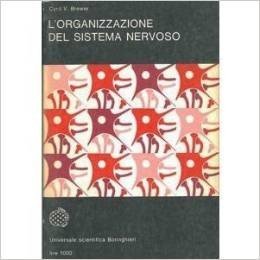 L'organizzazione del sistema nervoso