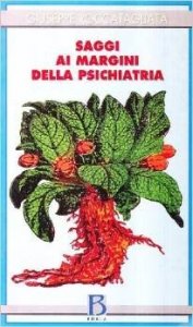 Saggi ai margini della psichiatria