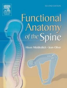 Functional Anatomy of the Spine