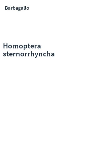 Homoptera sternorrhyncha