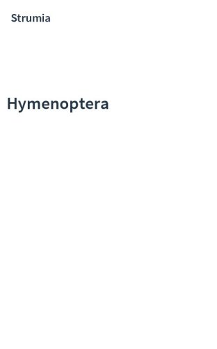 Hymenoptera
