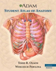 ADAM Student Atlas of Anatomy