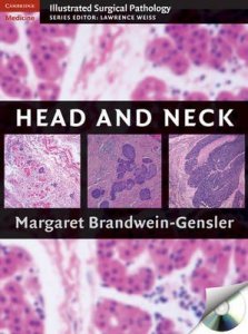 Head and Neck
