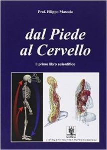 Dal piede al cervello