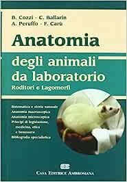 Anatomia degli animali da laboratorio. Roditori e lagomorfi