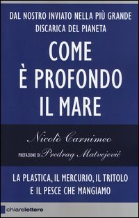 Come è profondo il mare. La plastica, il mercurio, il tritolo e il pesce che mangiamo