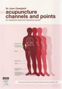 Acupuncture Channels and Points