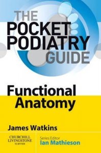 Functional Anatomy