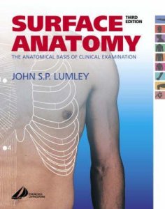 Surface Anatomy