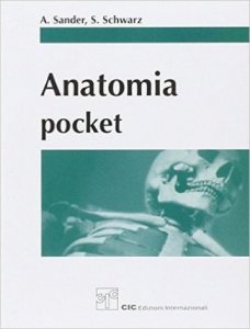 Anatomia pocket 