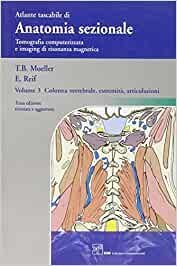Anatomia sezionale