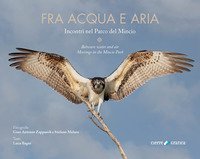 Fra acqua e aria. Incontri nel Parco del Mincio. Ediz. italiana e inglese